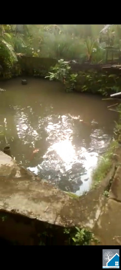 Jual tanah dan kolam ikan