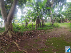 Jual tanah strategis cocok untuk villa di gunung geulis
