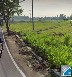 TANAH MURAH DI GODEAN YOGYAKARTA